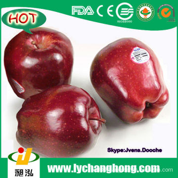 China Huaniu Apples for Middle East Market